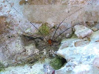 信用卡协商分期之后逾期了 信用卡协商分期之后逾期了