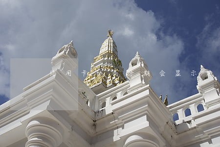 信用卡协商分期会显示逾期吗 信用卡协商分期会显示逾期吗