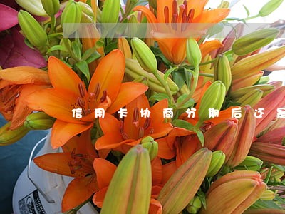 信用卡协商分期后还是逾期吗 信用卡协商分期后还是逾期吗