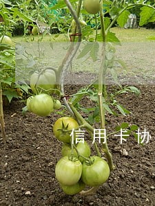 信用卡协商分期还款只还本金 信用卡协商分期还款只还本金