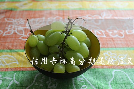 信用卡协商分期还款后又逾期 信用卡协商分期还款后又逾期