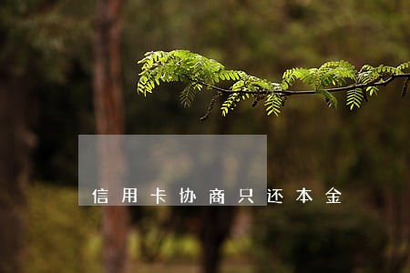 信用卡协商只还本金 信用卡协商只还本金