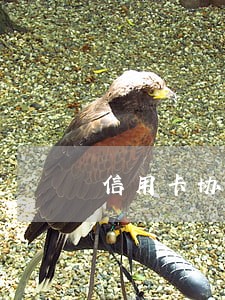 信用卡协商只还本金多久能销卡 信用卡协商只还本金多久能销卡