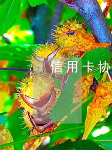 信用卡协商可以说网贷也逾期吗 信用卡协商可以说网贷也逾期吗