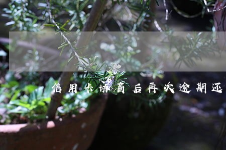 信用卡协商后再次逾期还不上了 信用卡协商后再次逾期还不上了