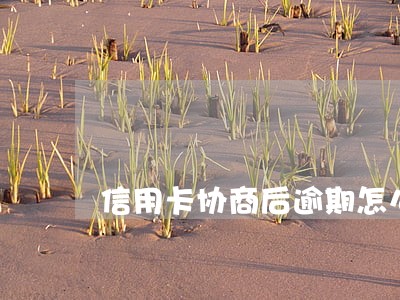 信用卡协商后逾期怎么办