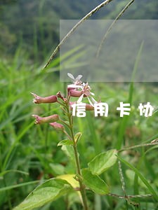 信用卡协商成功账单显示逾期 信用卡协商成功账单显示逾期