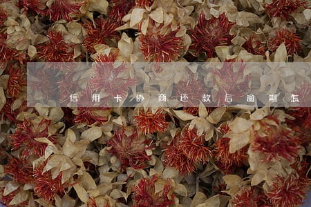 信用卡协商还款后逾期怎么办 信用卡协商还款后逾期怎么办