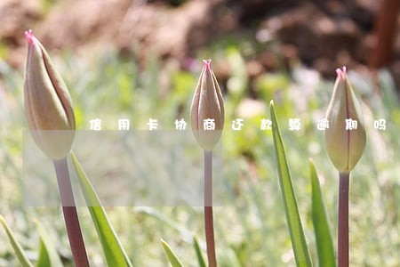 信用卡协商还款算逾期吗 信用卡协商还款算逾期吗