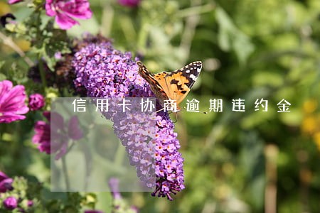 信用卡协商逾期违约金
