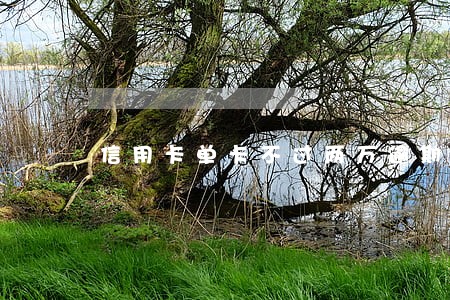 信用卡单卡不过两万逾期了 信用卡单卡不过两万逾期了