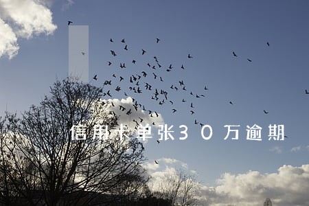 信用卡单张30万逾期