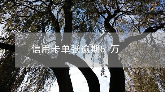 信用卡单张逾期5万 信用卡单张逾期5万