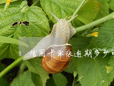 信用卡单张逾期多少可以立案 信用卡单张逾期多少可以立案