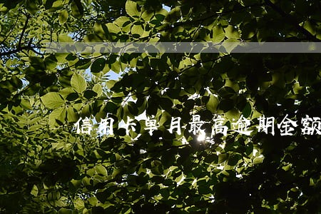 信用卡单月最高逾期金额0 信用卡单月最高逾期金额0