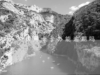 信用卡卡办能逾期吗 信用卡卡办能逾期吗