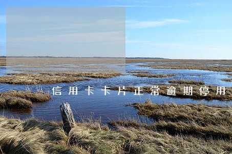 信用卡卡片正常逾期停用 信用卡卡片正常逾期停用