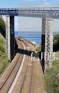 信用卡卡片费不给算逾期吗 信用卡卡片费不给算逾期吗