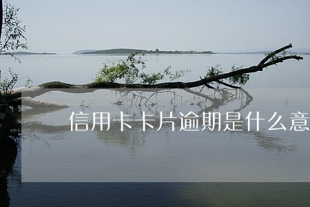 信用卡卡片逾期是什么意思 信用卡卡片逾期是什么意思