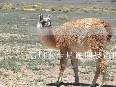 信用卡卡片逾期被管控 信用卡卡片逾期被管控