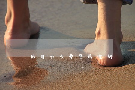 信用卡卡费导致逾期