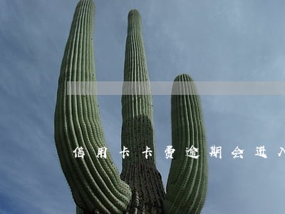 信用卡卡费逾期会进入征信吗
