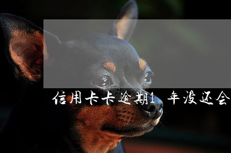 信用卡卡逾期1年没还会怎么样 信用卡卡逾期1年没还会怎么样