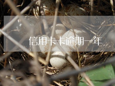 信用卡卡逾期一年 信用卡卡逾期一年
