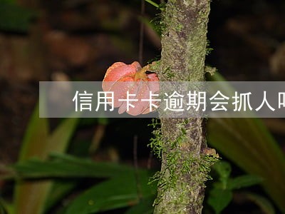 信用卡卡逾期会抓人吗 信用卡卡逾期会抓人吗