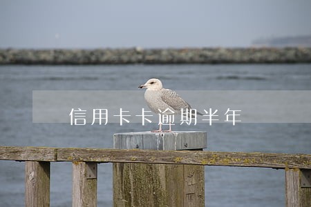 信用卡卡逾期半年