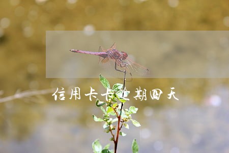 信用卡卡逾期四天