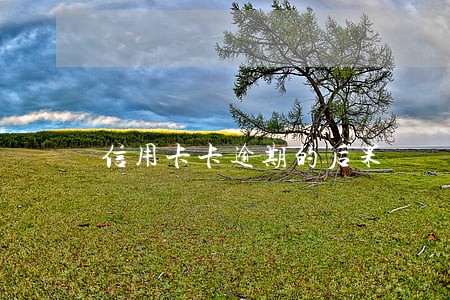 信用卡卡逾期的后果 信用卡卡逾期的后果