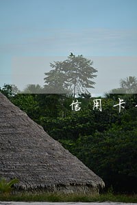 信用卡卡逾期请律师要多少钱 信用卡卡逾期请律师要多少钱