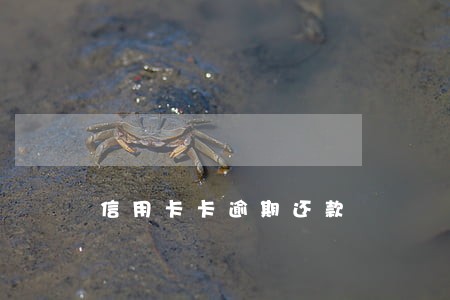 信用卡卡逾期还款 信用卡卡逾期还款
