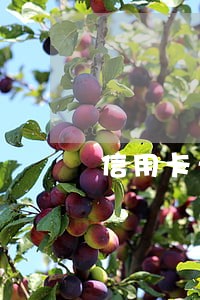 信用卡卡逾期还清短信 信用卡卡逾期还清短信