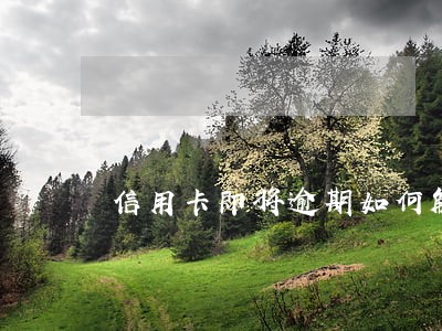 信用卡即将逾期如何解决 信用卡即将逾期如何解决