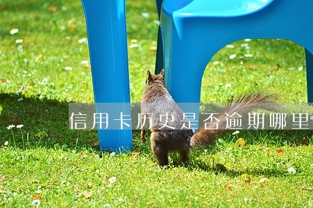 信用卡历史是否逾期哪里看 信用卡历史是否逾期哪里看