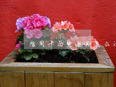 信用卡历史逾期怎么消除