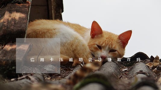 信用卡压逾期会涉嫌欺诈吗 信用卡压逾期会涉嫌欺诈吗