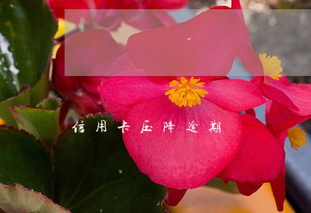 信用卡压降逾期 信用卡压降逾期