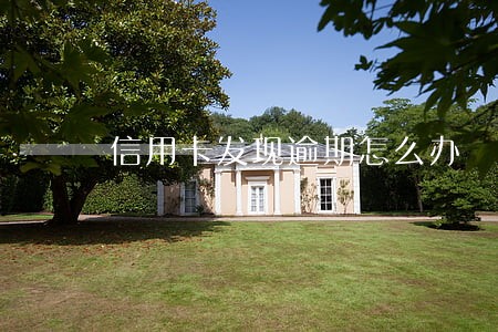 信用卡发现逾期怎么办