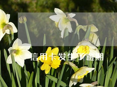 信用卡发生了逾期 信用卡发生了逾期