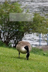 信用卡发生什么情况会逾期