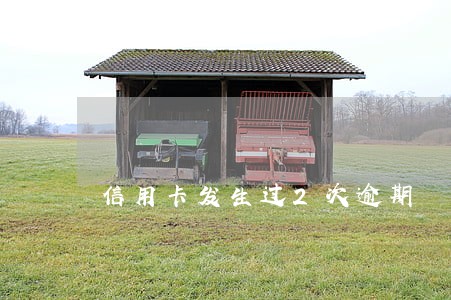 信用卡发生过2次逾期