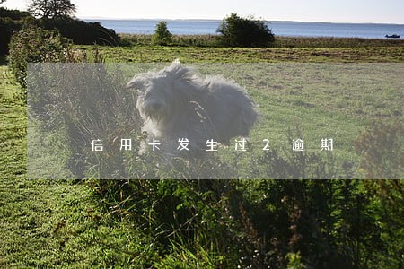 信用卡发生过2逾期 信用卡发生过2逾期