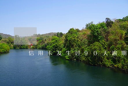 信用卡发生过90天逾期