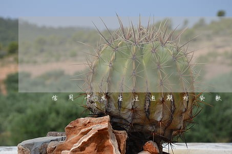 信用卡发生过逾期对贷款的影响