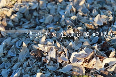 信用卡发生过逾期的账户数2 信用卡发生过逾期的账户数2