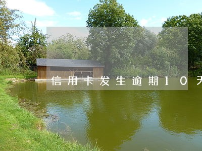 信用卡发生逾期10天贷款