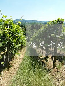 信用卡发生逾期可以贷款吗 信用卡发生逾期可以贷款吗